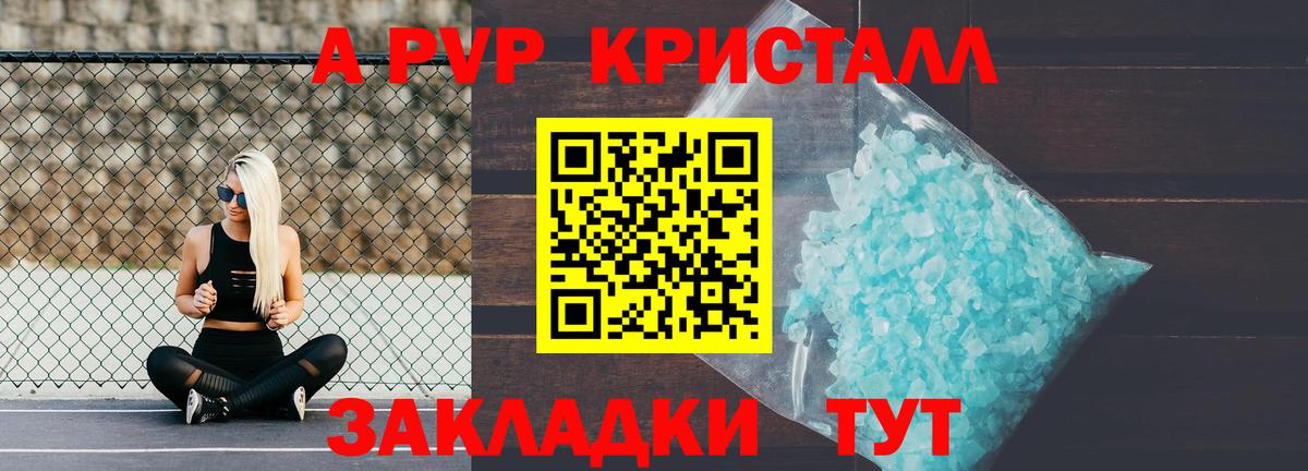 Alfa_PVP СК Пенза