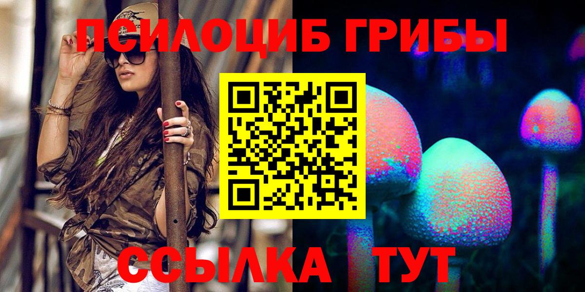 Пенза  Галлюциногенные грибы прущие грибы  Галлюциногенные грибы ЛСД  Вход с VPN 
